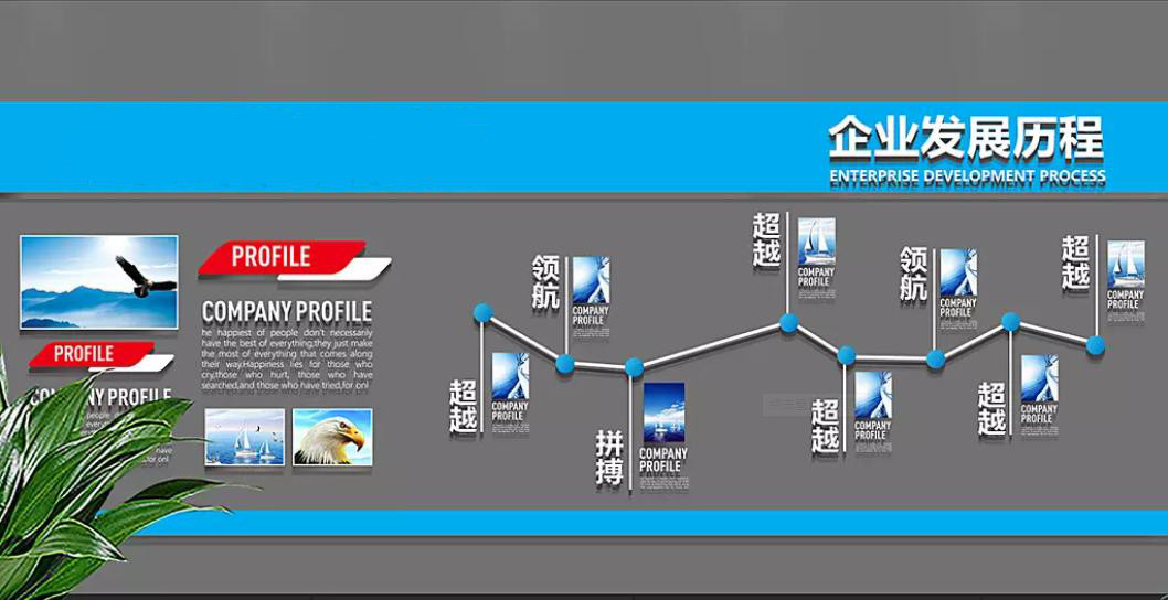 Çin HENAN TMS MACHINERY CO., LTD şirket Profili